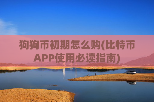 狗狗币初期怎么购(比特币APP使用必读指南)