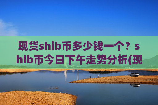 现货shib币多少钱一个?shib币今日下午走势分析(现价0.00022625元)