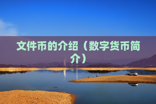 文件币的介绍（数字货币简介）