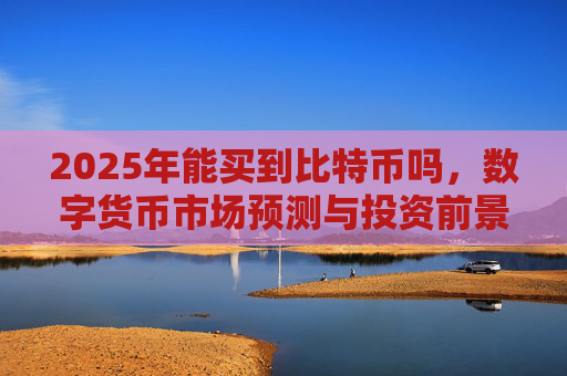 2025年能买到比特币吗，数字货币市场预测与投资前景