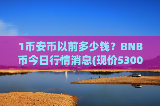 1币安币以前多少钱?BNB币今日行情消息(现价5300.14元)