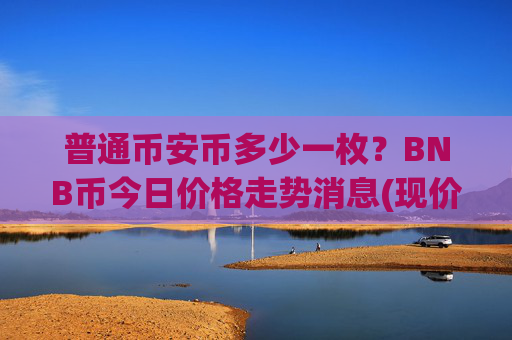 普通币安币多少一枚？BNB币今日价格走势消息(现价4837.14元)