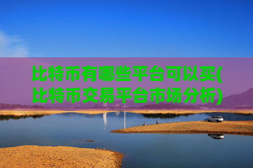 比特币有哪些平台可以买(比特币交易平台市场分析)