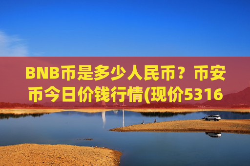 BNB币是多少人民币？币安币今日价钱行情(现价5316.18元)
