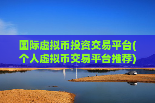 国际虚拟币投资交易平台(个人虚拟币交易平台推荐)