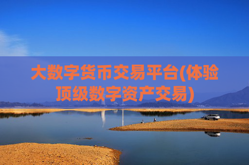 大数字货币交易平台(体验顶级数字资产交易)