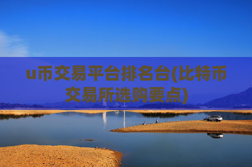 u币交易平台排名台(比特币交易所选购要点)