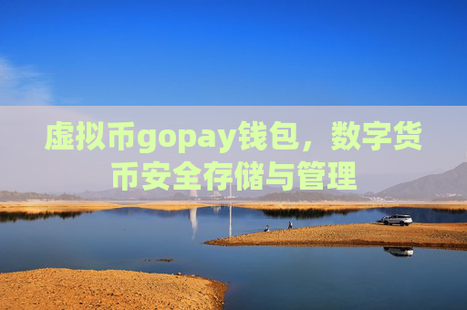 虚拟币gopay钱包，数字货币安全存储与管理