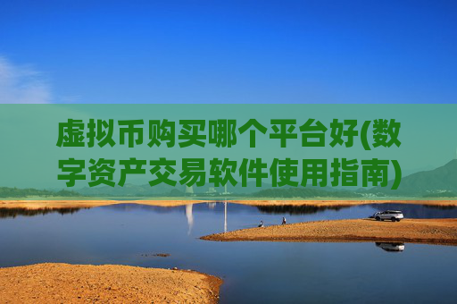 虚拟币购买哪个平台好(数字资产交易软件使用指南)