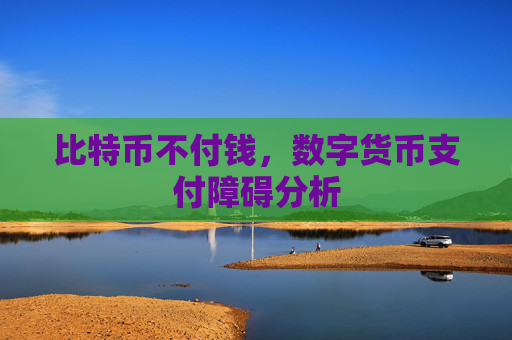 比特币不付钱,数字货币支付障碍分析
