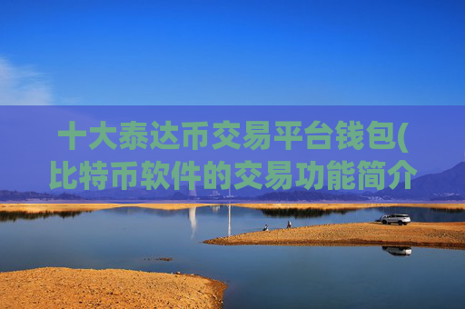 十大泰达币交易平台钱包(比特币软件的交易功能简介)