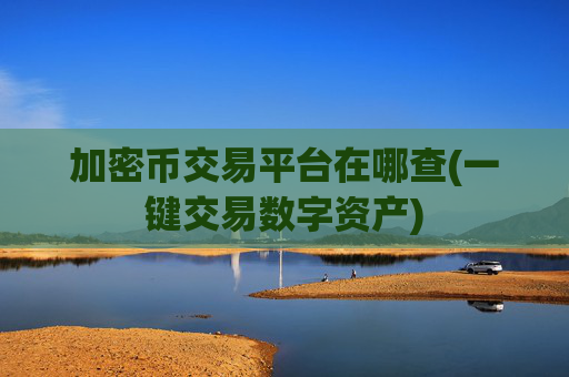 加密币交易平台在哪查(一键交易数字资产)