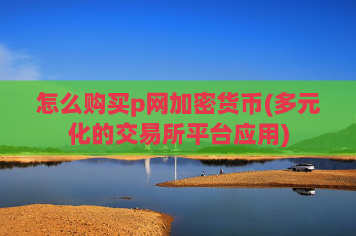 怎么购买p网加密货币(多元化的交易所平台应用)