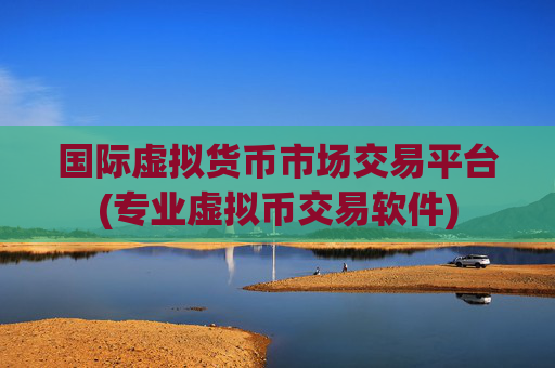 国际虚拟货币市场交易平台(专业虚拟币交易软件)