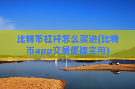 比特币杠杆怎么买进(比特币app交易便捷实用)