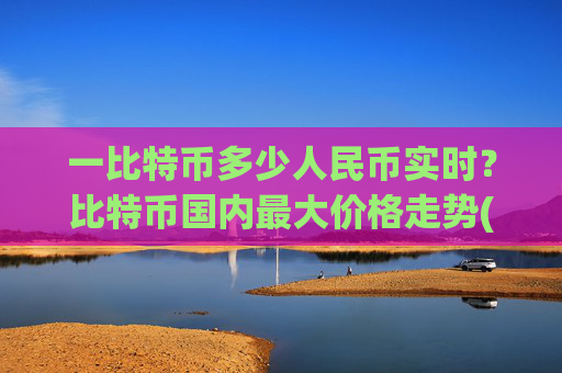 一比特币多少人民币实时？比特币国内最大价格走势(现价732393.98元)