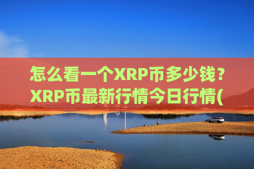 怎么看一个XRP币多少钱?XRP币最新行情今日行情(现价17.5438元)