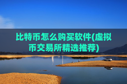 比特币怎么购买软件(虚拟币交易所精选推荐)