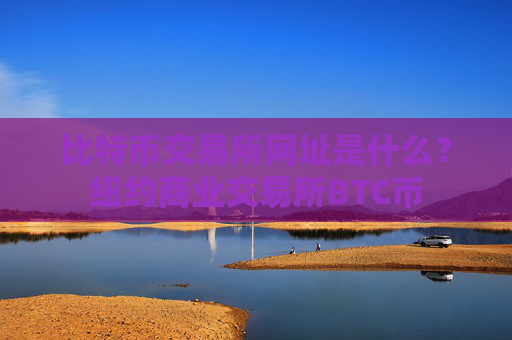 比特币交易所网址是什么?纽约商业交易所BTC币