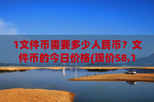 1文件币需要多少人民币?文件币的今日价格(现价58.117元)