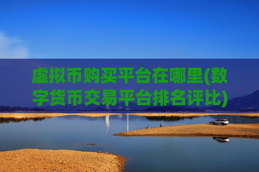 虚拟币购买平台在哪里(数字货币交易平台排名评比)