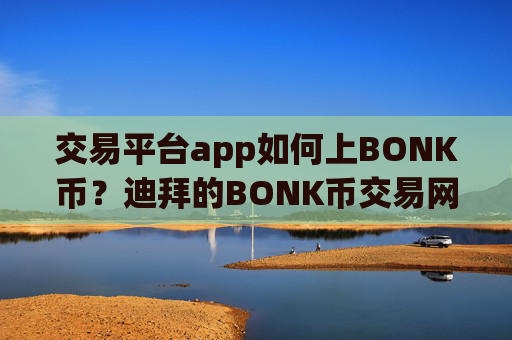 交易平台app如何上BONK币？迪拜的BONK币交易网站