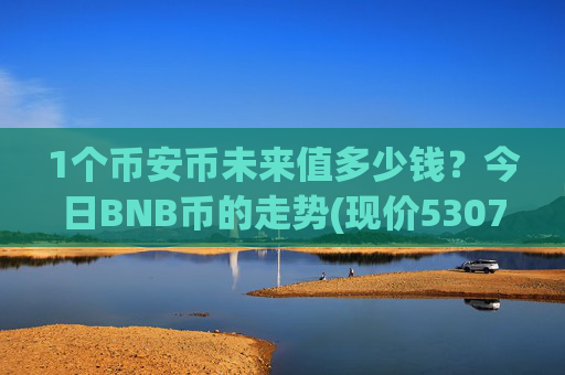 1个币安币未来值多少钱?今日BNB币的走势(现价5307.47元)