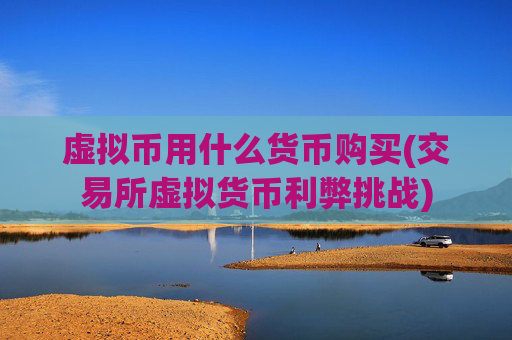 虚拟币用什么货币购买(交易所虚拟货币利弊挑战)