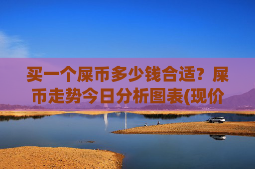 买一个屎币多少钱合适?屎币走势今日分析图表(现价0.00022669元)