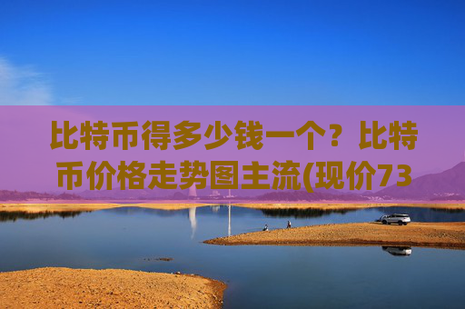 比特币得多少钱一个？比特币价格走势图主流(现价733002.05元)