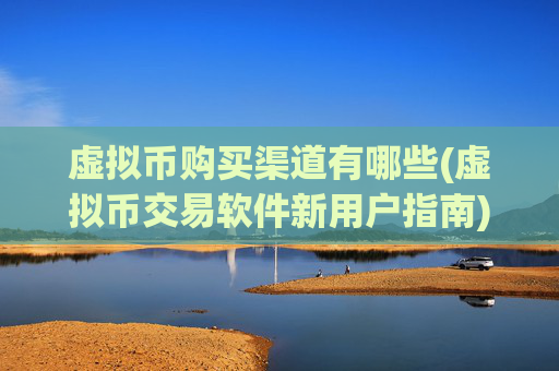 虚拟币购买渠道有哪些(虚拟币交易软件新用户指南)