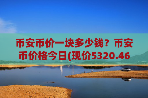 币安币价一块多少钱?币安币价格今日(现价5320.46元)