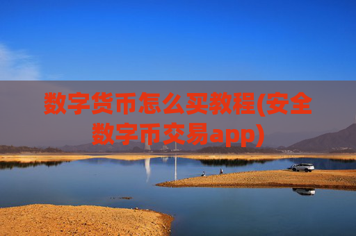 数字货币怎么买教程(安全数字币交易app)