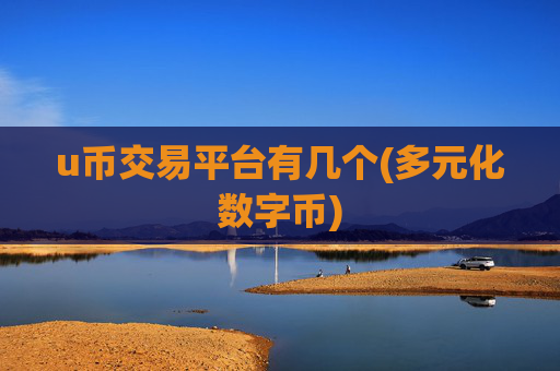 u币交易平台有几个(多元化数字币)