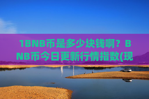 1BNB币是多少块钱啊?BNB币今日更新行情指数(现价5317.48元)