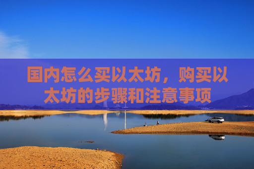 国内怎么买以太坊,购买以太坊的步骤和注意事项