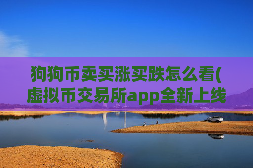 狗狗币卖买涨买跌怎么看(虚拟币交易所app全新上线)