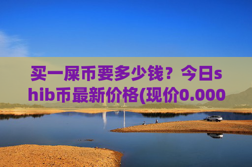 买一屎币要多少钱?今日shib币最新价格(现价0.00022811元)
