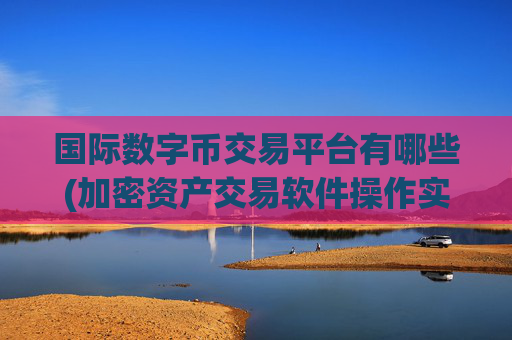 国际数字币交易平台有哪些(加密资产交易软件操作实例)