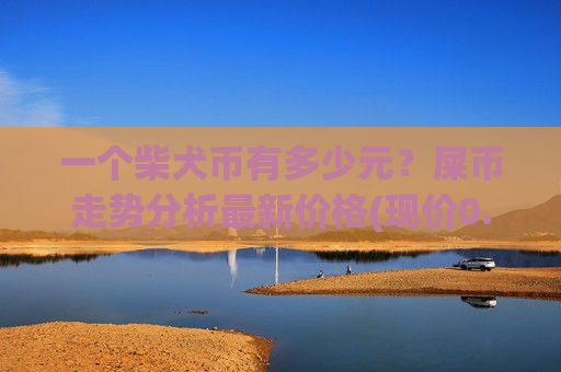 一个柴犬币有多少元？屎币走势分析最新价格(现价0.00022782元)