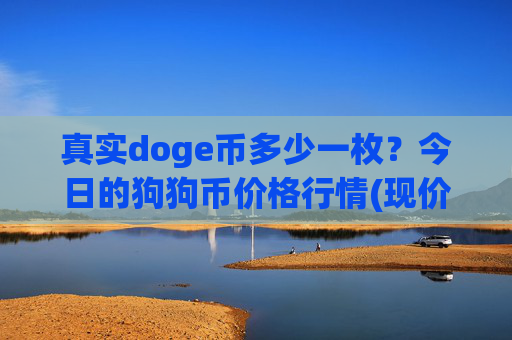 真实doge币多少一枚?今日的狗狗币价格行情(现价3.2314元)