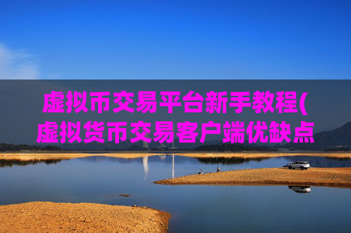 虚拟币交易平台新手教程(虚拟货币交易客户端优缺点)