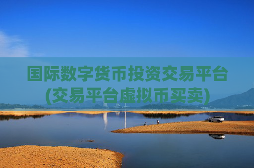 国际数字货币投资交易平台(交易平台虚拟币买卖)