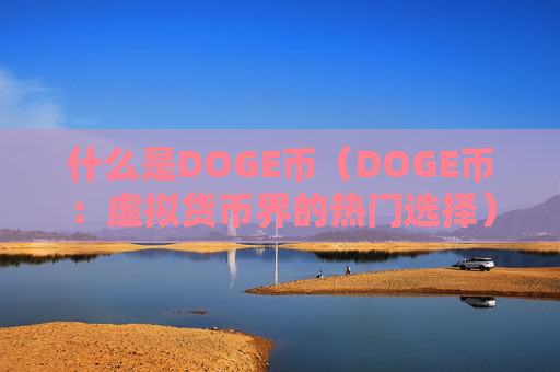 什么是DOGE币(DOGE币:虚拟货币界的热门选择)