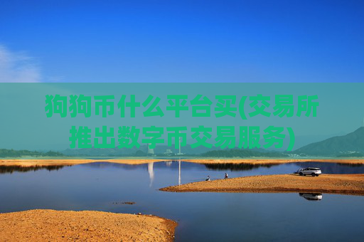 狗狗币什么平台买(交易所推出数字币交易服务)