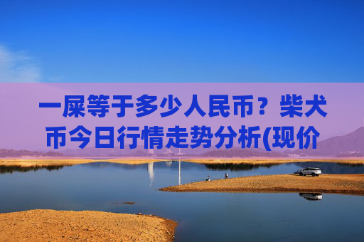 一屎等于多少人民币?柴犬币今日行情走势分析(现价0.00022807元)