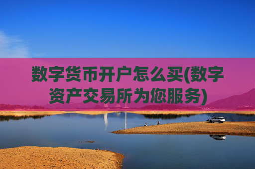 数字货币开户怎么买(数字资产交易所为您服务)