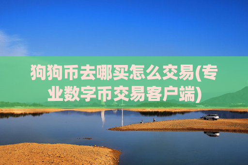 狗狗币去哪买怎么交易(专业数字币交易客户端)