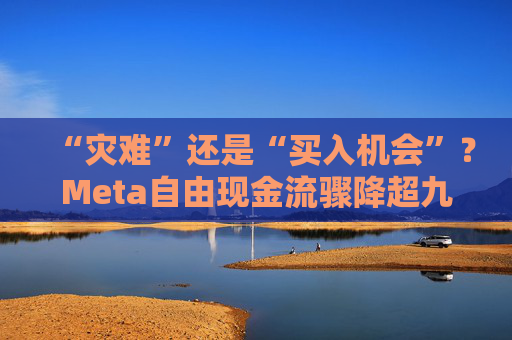“灾难”还是“买入机会”?Meta自由现金流骤降超九成