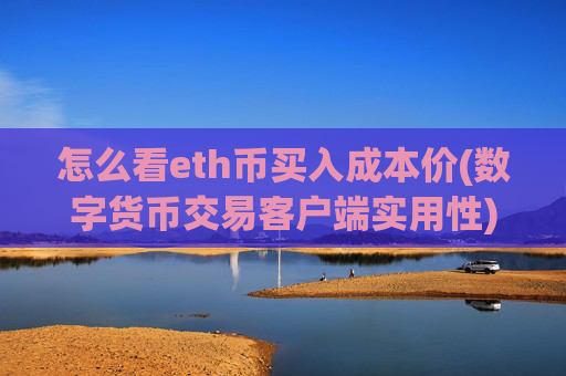 怎么看eth币买入成本价(数字货币交易客户端实用性)